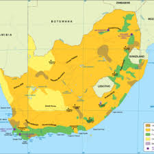 Congo, democratic republic of congo (formerly zaire), gabon, cameroon. South Africa Vegetation Map Order And Download South Africa Vegetation Map
