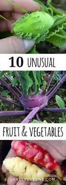 Top 10 Unusual Edibles To Grow In Your Garden Lovely Greens