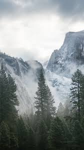 Wallpaper Yosemite 5k 4k Wallpaper 8k Forest Osx Apple Mountains Nature 181 Boat in nature silence 4k wallpapers. wallpaper yosemite 5k 4k wallpaper