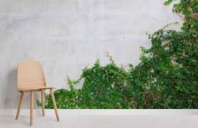 We offer you wall murals with images taken by great photographers or totally customized with your own photographs, in whatever. Ivy Covered Wall Wallpaper Mural Hovia Uk