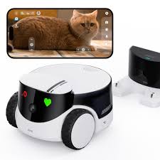 Enabot EBO ROLA PetPal 2.5K Kattencamera met opslagmodule, WLAN mobiele  Emo-robot met nachtzicht, draadloze huisdiercamera met EBO ROLA-PET app, ...