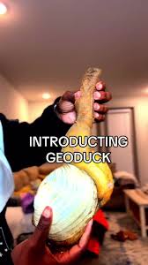 Image result for geoduck