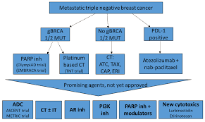 Carmen criscitiello, european institute of oncology, milan, italy. Recent Advances In Understanding Breast Cancer F1000research