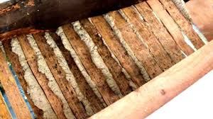 Lime Plaster On Oak Riven Laths Showing How It Looks From The Other Side With It Hooking Over Th Plaster Ceiling Repair Timber Frame Building Plaster Ceiling