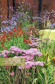 Colour Box Garden Colourful Border Planting Of Red Pink And Blue Colours Achillea Penstemon Agapanthus And Backyard Flowers Beds Flower Garden Urban Garden
