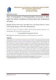 Image result for Pseudospondias microcarpa