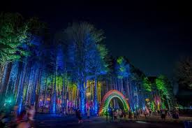 What We Have To Look Forward To At Electric Forest With Images Electric Forest Festival Electric Forest Forest Festival
