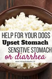 4 Best Recipes For Dogs Diarrhea Or Upset Stomach Recipe In 2020 Healthy Dog Food Recipes Dog Food Recipes Homemade Dog Food