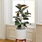 Highlights faux rubber tree with lush green leaves stands 68.5 inches for a statement look great for placing on a flat surface alongside other faux plants Faux Potted Rubber Tree