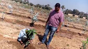 Check spelling or type a new query. ÙÙÙÙØ© Ø²Ø±Ø§Ø¹Ø© Ø´ØªÙØ§Øª Ø§ÙÙØ§ÙØ¬Ù ÙÙ Ø§ÙØ¨Ø³ØªØ§Ù Youtube