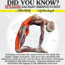 Pin On Fitforlife