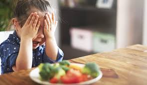 And she'll have an order of 'i don't want that' with extra ketchup, please. Picky Eaters And How To Handle Them Once Upon A Farm
