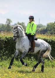 Charlotte dujardin is an elite british dressage rider, winner of three olympic gold medals and a silver (london 2012 and rio de janeiro 2016), european champion, and world champion, and holds all. Charlotte Dujardin Supports Hack To Remember Day Features The Gaitpost