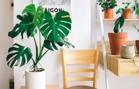 Check out our housewarming gift selection for the very best in unique or custom, handmade pieces from our shops. Perfect Housewarming Gift Ideas For Indian Homes Housing News