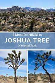 Hiking In Joshua Tree National Park 6 Incredible Trails The Unending Journey Joshua Tree National Park National Parks National Parks Trip