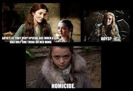 I Love This Arya Is Perfect She S Also My 1 Favorite Character In Got Got Memes Memes Funny