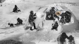 Maybe you would like to learn more about one of these? Gordon Belray Nanook Of The North Redux