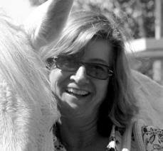 From The Horse's Mouth