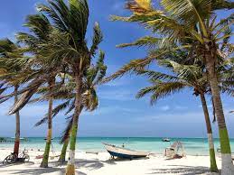 Great savings on hotels in caye caulker, belize online. Snack Hunting On Caye Caulker Belize G Adventures