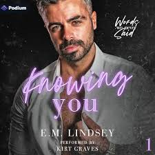 Amazon.com: Hot Streak (Audible Audio Edition): Beth Bolden, Darcy Stark,  Podium Audio: Books