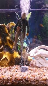 Friday The 13th Fish Tank Themes Diy Fish Tank Fish Tank Decorations