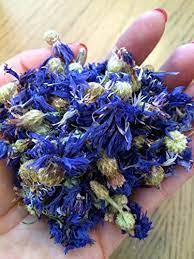 Organic Dried Bluebottlecornflower Centaurea Cianus 2 Oz For More Information Visit Image Link This Is An Aff Liver Nutrition Green Tea Supplements Herbs