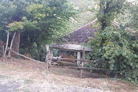 Zingat Com Farki Ile Duzce Merkez Yayla Koyu Satilik Mustakil Ev 1300m Findik Bahcesi Zingat 2251318 Evler Home Fashion Yaya