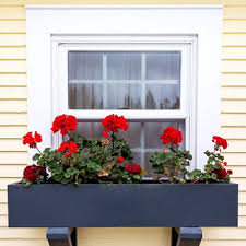 Maybe you would like to learn more about one of these? Vinyl Siding Jacksonville Roof Repair Jacksonville Next Level Exteriors