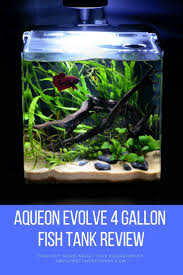 Pin On Fish Tank Ideas