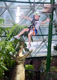 Visit crafts, animal crafts for additional resources. Top Activities For Kids In Cairns