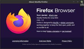 Download firefox extensions and themes. Firefox Vs Firefox Mint Linux Mint Forums
