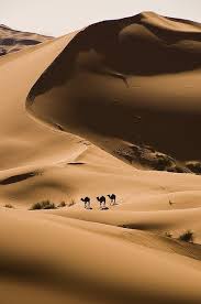 The Sahara Desert Around The Worlds Beautiful Places Morocco
