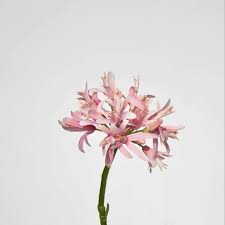 You can use artificial flowers for diwali flower decoration inside or outside the door. Long Stem Artificial Flower Agapanthus 36 White Silk Flowers Buy Artificial Flower Artificial Allium Flowers Artificial Allium Flowers Product On Alibaba Com