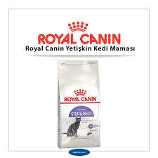 En Iyi Yetiskin Kedi Mamasi Markalari Cesitleri Ve Fiyatlari 2020