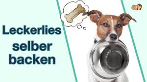 Haferflocken, kartoffeln , käse, fisch und fleisch sind dagegen sehr beliebte zutaten, wenn sie hundeleckerli selber machen möchten. Hundekekse Selber Backen 15 Rezepte Fur Dich