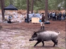 Ciri finds her royal world upended when nilfgaard sets its sights on cintra. The Witcher Season 2 Ciri Is Filming In An English Forest With Smoke And Fake Snow Redanian Intelligence
