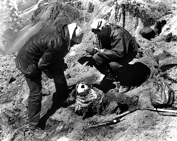 Inca child mummy genome reveals lost history of South America – The History  Blog