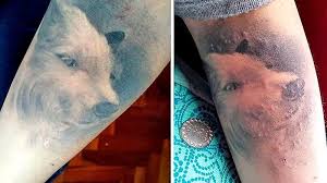 No entiendo por qué me siguen un montón de cocineros de verdad. Detectaron Bacteria Atipica En 67 Personas Que Se Hicieron Tatuajes Rosario3