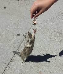 Wata shari a hausa novel lokaci ne part 6 hausa novels audio latest labarin wata yartalaka ta aure shahararran mai kudi youtube korean light novels that have good art and plot. Damata Part 14 Mp3 Bankin Hausa Novels