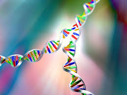 نتیجه جستجوی لغت [replication] در گوگل