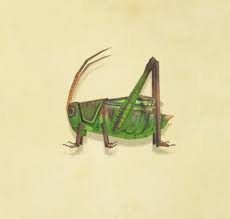 The term grasshopper is an imprecisely defined name referring most commonly to members of two orthopteran families: Grasshopper Animal Crossing Wiki Fandom
