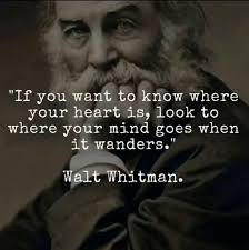 Marci Booth (marcimbooth)