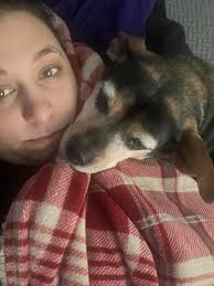 Hi, im currently 6 weeks pregnant and I wanted to know if anybody else love  dogs but can't stand them after getting pregnant ? I have a puppy that I  planned on