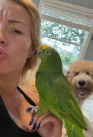 Crow Bites Dogs Bollucks