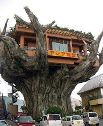 Retrouvez Des Maisons Construites Dans Les Arbres Avec Ces Photos Vivre Dans Maison Dans Les Arbres Maisons Insolites Conceptions De Maisons Dans Les Arbres