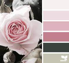 Rose Tones Seeds Color Seeds Color Palette Design Seeds Color Palette
