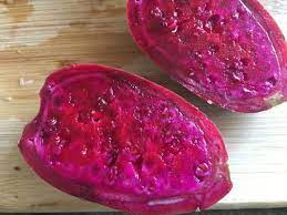 There is no x indication to pick it up and the cactus itself is immune to damage. How To Make Homemade Prickly Pear Syrup Fearless Dining