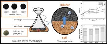 Think of large bag totes used in transport of things like grains. First Charosphere View Towards The Transport And Transformation Of Cd With Addition Of Manure Derived Biochar Sciencedirect