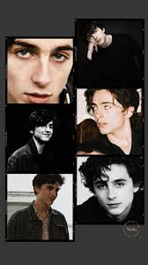 Maybe you would like to learn more about one of these? Timothee Chalamet Aesthetic Wallpaper Timothee Chalamet Timothee Chalamet Aesthetic Wallpaper Thimotee Chalamet