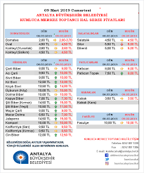 mehmet adli kullanicinin kumluca hal fiyatlari panosundaki pin 15 ocak